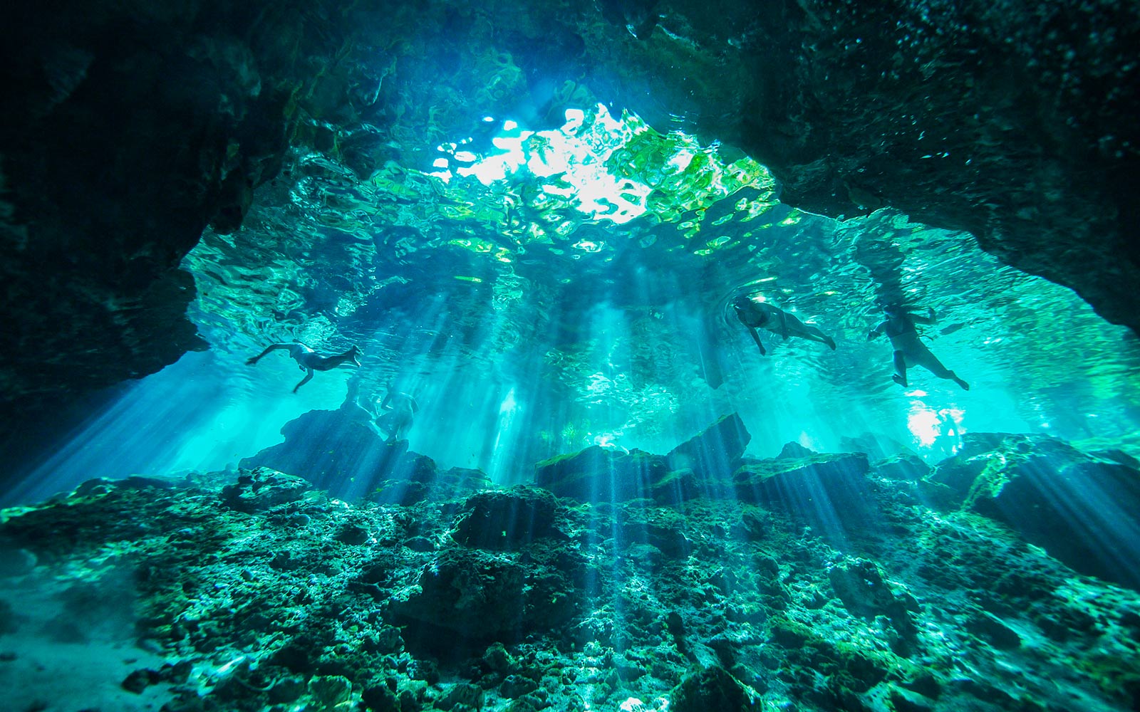 Подводная сцена, освещенная лучами света, падающими в воду (воспроизвести видео).