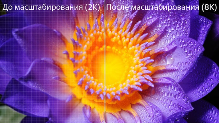 Изображение цветка в исходном разрешении 2K слева и изображение того же изображения, масштабированного до 8K, справа.